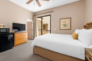 Hotel room with one queen bed