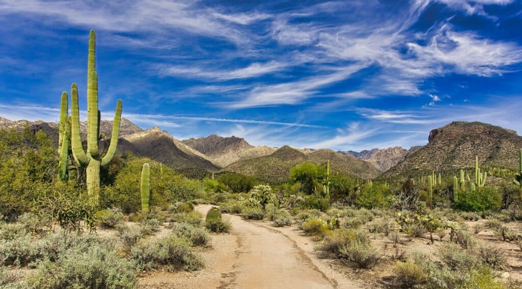 What To See in Tucson