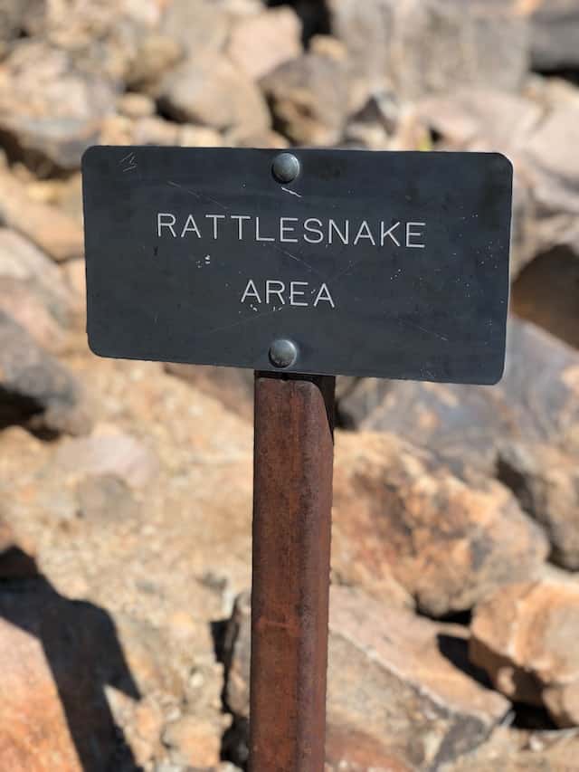 Rattlesnake Area In Tucson