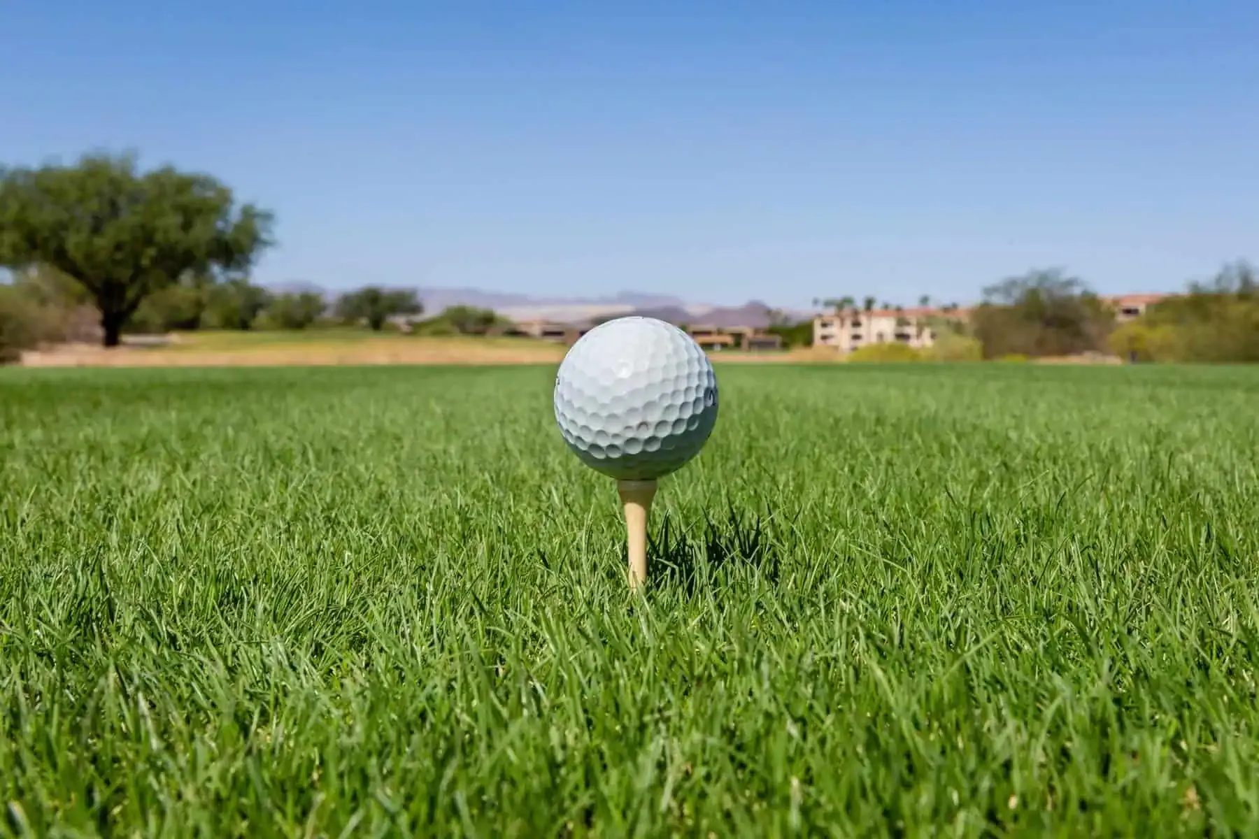 A close-up of a golf ball on a tee set against a lush green fairway, with desert mountains and resort buildings in the distance — capturing the essence of desert golf in Arizona.